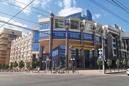 Ставропольский государственный аграрный университет, с рейтингом 2.7 - находится по адресу Ставрополь, Зоотехнический переулок, 12 