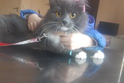 Барс, с рейтингом 2.7 - находится по адресу Воронежская область, пос. Отрадное, Вишнёвая улица, 1а 