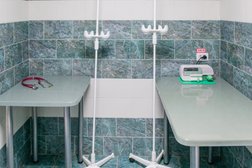 Ветеринарная клиника Симург, с рейтингом 3.6 - находится по адресу Московская область, Долгопрудный, Набережная улица, 33 