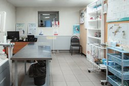 Ветеринарная клиника Крошка енот, с рейтингом 4.5 - находится по адресу Челябинск, улица Богдана Хмельницкого, 27 