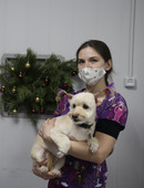 Победенная Мария Алексеевна