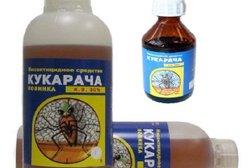 Компания СТК-Крепость, с рейтингом 5 - находится по адресу Алматы, Москвина, 13/2 