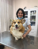 Палагина Александра Максимовна