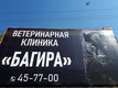 Багира Ветеринарная Клиника