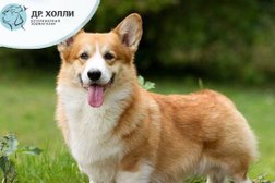 Ветеринарный зоомагазин Др. Холли, с рейтингом 2 - находится по адресу Белгород, улица Конева, 1а 