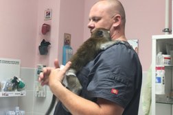 Ветеринарная клиника Белый медведь, с рейтингом 2.8 - находится по адресу Тюменская область, рп. Винзили, Вокзальная улица, 6а 