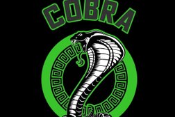 Клуб тайского бокса Cobra Muay Thai Team, с рейтингом 5 - находится по адресу Тольятти, улица Ворошилова, 2а к1 
