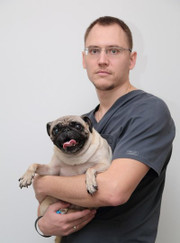 Ветеринарный ортопед, ветеринар Артем Александрович Журавков