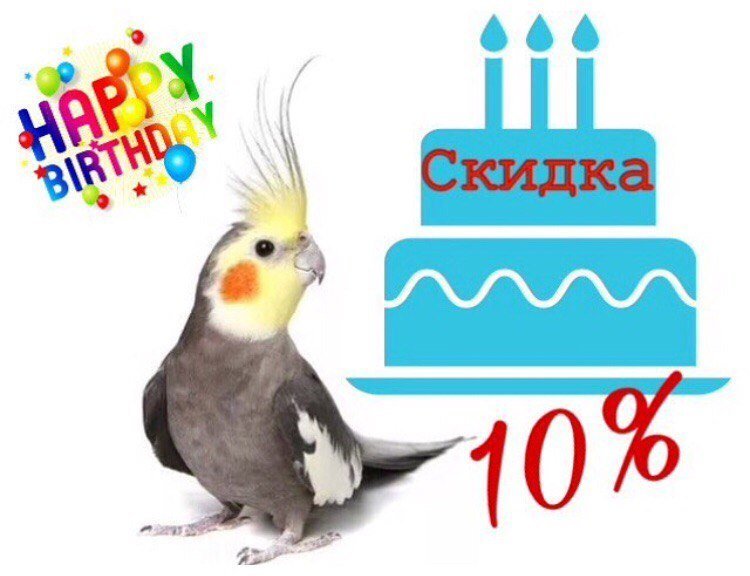 Annely gerritsen в платье. девушка в платье летнем. кеша хороший тула сарафан. детская парикмахерская для малышей 1 годик. сарафан для девочки вельвет.