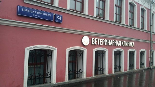 Чеширский кот ветеринарная клиника