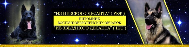питомник восточноевропейских овчарок отзывы