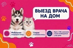Выездная ветеринарная служба ЗООВЕТ-Дом, с рейтингом 4.9 - находится по адресу Московская область, Одинцово, Южная улица, 8 