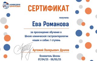 сертификат/документ ветеринара Евы Николаевны Романовой