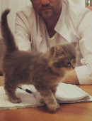 Севрюков Антон Валерьевич