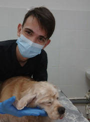 Ветеринарный врач УЗИ, ветеринар Даниил Александрович Барков