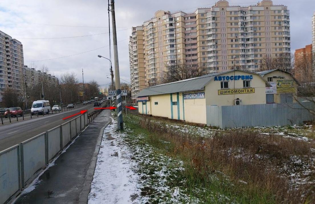 фотография Чижово во Фрязино