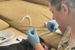 Ветеринарная клиника Любимчик, с рейтингом 4 - находится по адресу Москва, Истринская улица, 10к1 