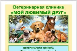 Ветеринарная клиника Мой любимый друг, с рейтингом 2.3 - находится по адресу Томск, улица Мичурина, 7 