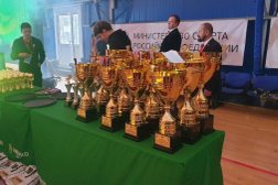 Средняя школа №12, с рейтингом 3.6 - находится по адресу Московская область, Красногорск, Южный бульвар, 3 