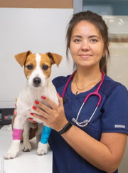 Ветеринарный врач-терапевт Эльвира Альбертовна Каракулина