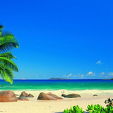 фотография Salamandra tour