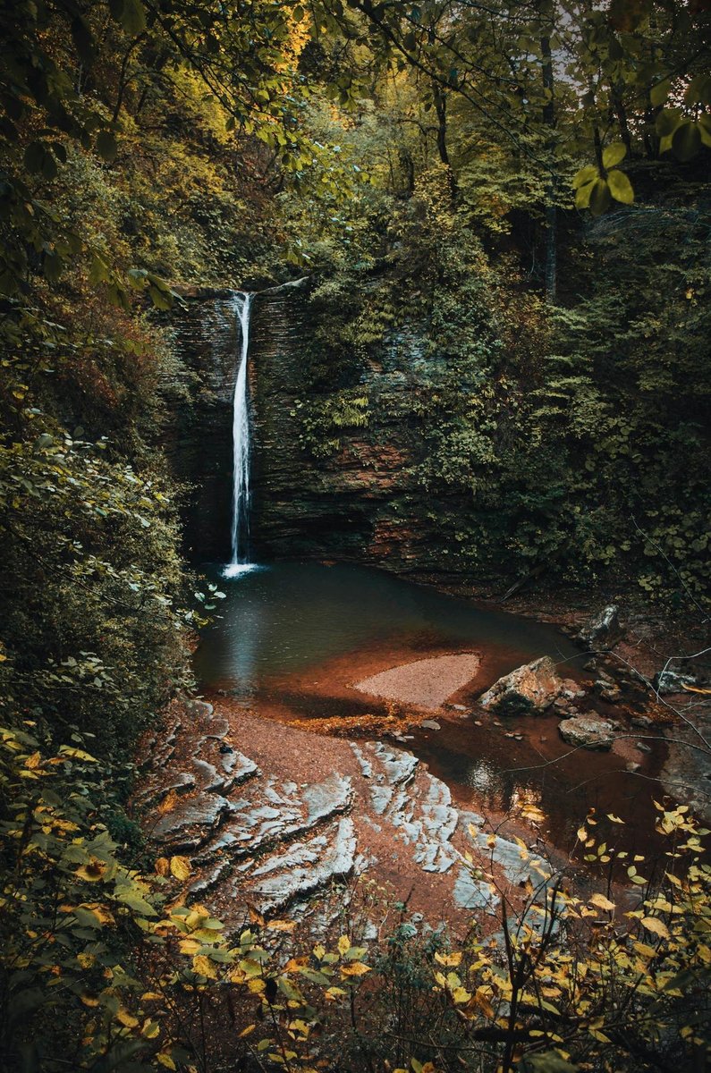 Водопад, окружённый лесом