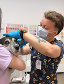 Беседина Виктория Владимировна