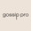 фотография Gossip Pro