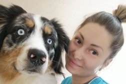 Зоосалон Пушистые лапки, с рейтингом 4.2 - находится по адресу Новороссийск, проспект Ленина, 20 