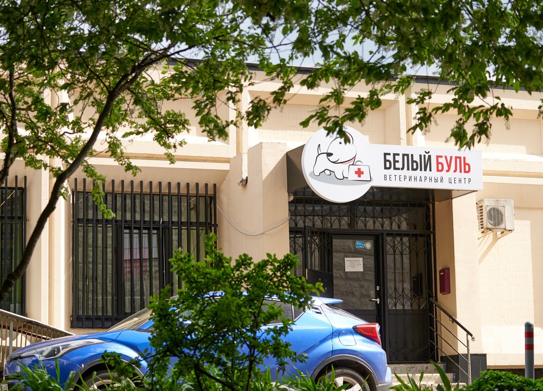 Белый Буль, ветеринарная клиника на бульваре Дмитрия Донского в Москве ...
