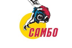 Клуб спортивной борьбы, с рейтингом 2.8 - находится по адресу Московская область, Долгопрудный, Институтский переулок, 3 