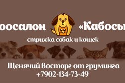ЗооСалон Кабоська, с рейтингом 4.7 - находится по адресу Мурманск, Ленинский округ, Промзона, 183031, улица Гаджиева, 16 