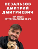 Незальзов Дмитрий Дмитриевич