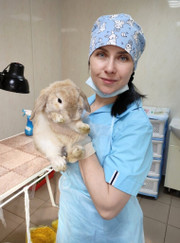 Ветеринарный хирург Евгения Александровна Кумакшева