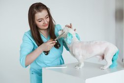 Зоосалон Welcome pets, с рейтингом 5 - находится по адресу Москва, Егерская улица, 3 