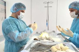 Ветеринарная клиника Ласкава, с рейтингом 3.1 - находится по адресу Республика Крым, Симферополь, улица Богдана Хмельницкого, 30 