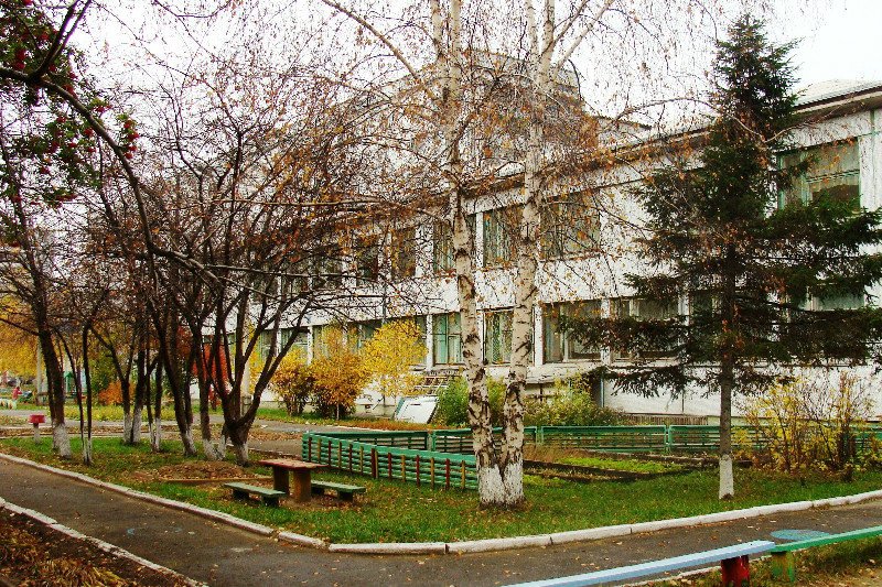 Нижняя пеша детский сад. Детский сад 236 волгоград. Садик 294. Детский сад 294 волгоград. Богунская 33 волгоград.