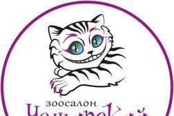 Зоосалон Чеширский кот, с рейтингом 5 - находится по адресу Нижний Новгород, Богдановича, 6 