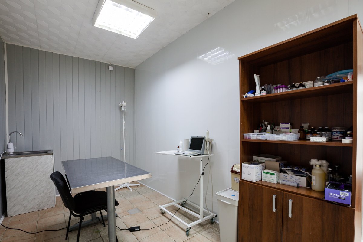 магазин мокрый нос. клиника мокрый нос пятигорск. мокрый нос обнинск ветклиника. ветеринарная клиника обнинск. ветеринарка обнинск.