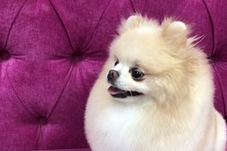 Груминг-салон Pets groom, с рейтингом 4.3 - находится по адресу Московская область, Одинцово, Можайское шоссе, 112А 
