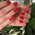 фотография Fedua Nail Salons