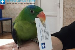 Ветеринарная клиника на улице Фирсова, 8а, с рейтингом 2 - находится по адресу Владивосток, улица Фирсова, 8а 