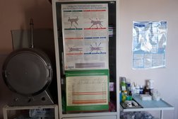 Ветеринарная клиника Розовый слон, с рейтингом 4 - находится по адресу Самарская область, Сызрань, Полевая улица, 22 