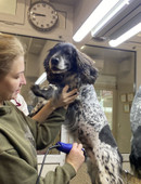 Скоробогатова Елизавета Андреевна