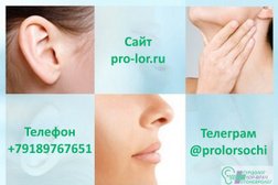 Кабинет детского и взрослого лор-врача, сурдолога и отоневролога Будановой Е.Г., с рейтингом 4.4 - находится по адресу Сочи, улица Орджоникидзе, 24/2 