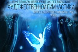 Cекция по художественной гимнастике Сенсация, с рейтингом 5 - находится по адресу Орловская область, Орел, Комсомольская улица, 182 