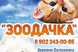Зоогостиница Зоодачка, с рейтингом 5 - находится по адресу Ивановская область, д. Балахонки, Центральная улица, 33 