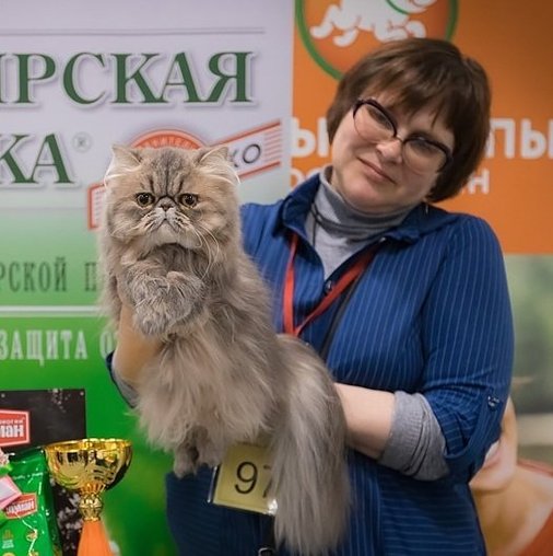 Кристина Викторовна Корнеева