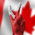 фотография Toronto immigration domain inc