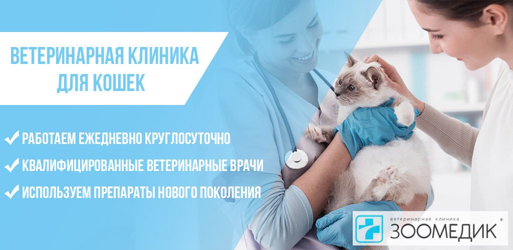 фотография Ветеринарной клиники Зоомедик на улице Дмитрия Ульянова
